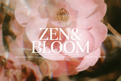 PINK LEMONADE - Elegant Serif Product Image 5