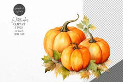 Thanksgiving clipart, Pumpkin clipart, Autumn clipart, Product Image 1