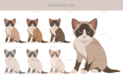 Snowshoe Cat Product Image 4