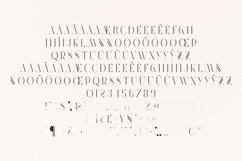 Future Flow Futuristic Elegant Serif Font Product Image 5