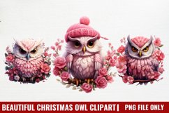 Beautiful Christmas Set Clipart Product Image 1
