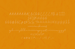 Marken Elegant Handwritten Script Font Product Image 5