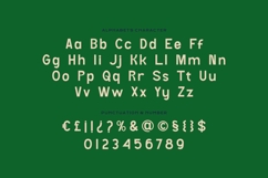 Vokrad - Minimal Sans Font Product Image 4