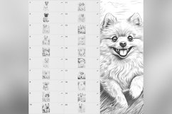 80 Procreate Small Dog Breeds Stamp Brushes Product Image 9