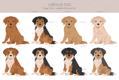 Labollie dog mix Product Image 4