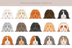 Peruvian Angora Guinea Pig Product Image 3
