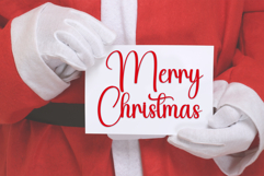 Holiday Product Image 5