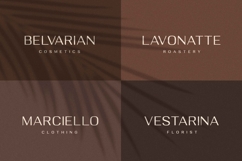 Deloire - Modern &amp; Luxury Sans Product Image 5