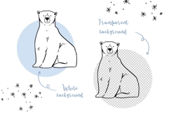 Polar Arctic Bear Clipart PNG SVG Product Image 4