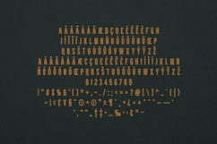 Brawn Display Font Bold Retro Distressed Product Image 5