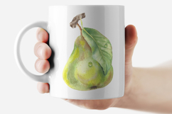 Pear with Flowers and Leaves Watercolor Clip Art Fruit Food Product Image 5