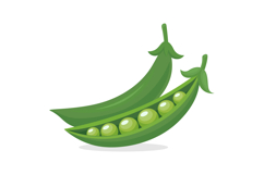 Green Peas and Pea Pods Vector Set Product Image 6