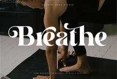 Silent Garden Product Image 8