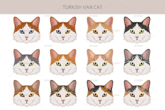 Turkish Van cat clip art Product Image 4