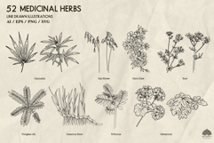 Medicinal herbs Part 2 Svg Png Eps Product Image 5