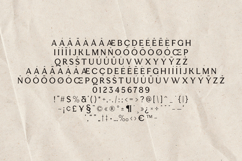 Esquie Serif Font Elegant Hybrid Display Typeface Product Image 5