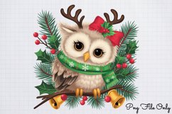 Christmas Owls Clipart PNG Product Image 1