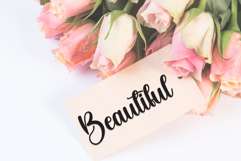 Butterfly Product Image 5