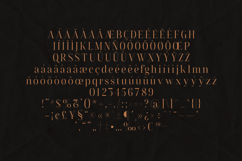 Flowrite Serif Font Elegant High-Contrast Product Image 5