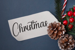 Spooky Society Product Image 5