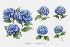 15 Bundle Watercolor Hydrangea Flower Blue Floral Garden Product Image 5