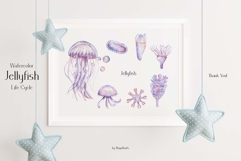 Watercolor Jellyfish Life Cycle Set Bundle Product Image 5