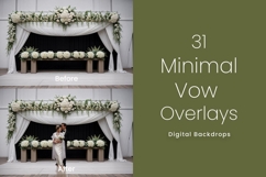 31 Minimal Vow Digital Backdrops Product Image 5