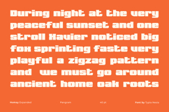 Homay - Bold Modern Expanded Retro Font Product Image 5