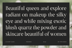 Le Saint Clair - Beauty Nostalgic Retro Serif Font Product Image 5