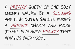 Twin Memories - Casual Handwritten Marker / Pen Font Product Image 5