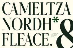 Twoswash - Beauty Elegant Ligature Serif Product Image 5