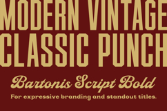 Bartonis Product Image 5