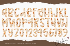 Preppy Pumpkin Fall Lace PNG Alphabet | Sublimation Font Product Image 3