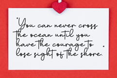 Valentine Holiday Product Image 6