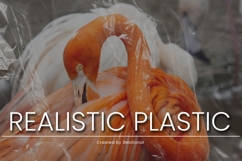 85 Realistic Plastic Overlays Product Image 5