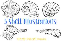 8 Seashell Clipart Illustrations Shells Ocean Collection SVG Product Image 2
