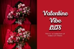 30 Valentine Vibe LUTs Bundle Product Image 5