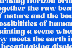 Solacine Product Image 5