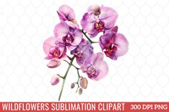 Wildflowers Sublimation Clipart Product Image 1