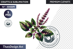 Medicinal Herbs clipart PNG, Apothecary Botanical Graphic Product Image 1
