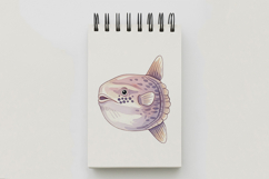 Cute Sunfish Ocean Animal PNG Summer Aquatic Marine Mola Product Image 5