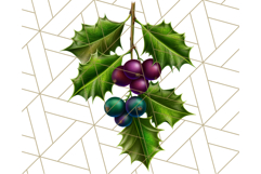 Peacock Christmas Clipart in Jewel Tones, Christmas Png Product Image 2