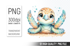 Summer Clipart PNG Bundle, Beach Clipart Design Product Image 17
