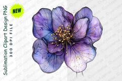 Watercolor Purple Flower With Golden Accents Clipart Product Image 1