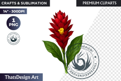 Flower Clipart PNG, Botanical Illustration Floral graphic Product Image 1