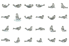 Summer Seal Clipart Product Image 7