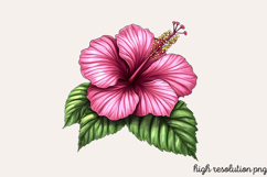 Pink Summer Sublimation Clipart PNG Product Image 1