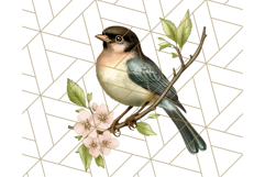 Vintage Song Bird Clipart PNG, Botanical Bird Art Clip Art Product Image 2