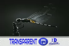 50 DRAGONFLY TRANSPARENT PNG FILE ANIMALS PHOTOSHOP OVERLAYS Product Image 1