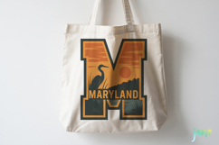 50 States Retro Sunset SVG Sublimation Product Image 3